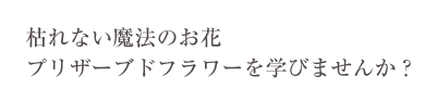 【名古屋サロン】地下鉄 東山線 中村公園駅 1番出口より徒歩1分、名古屋駅より地下鉄で7分とアクセス簡単 枯れない魔法のお花プリザーブドフラワー・アーティフィシャルフラワーで自分だけのアレンジを作りませんか?